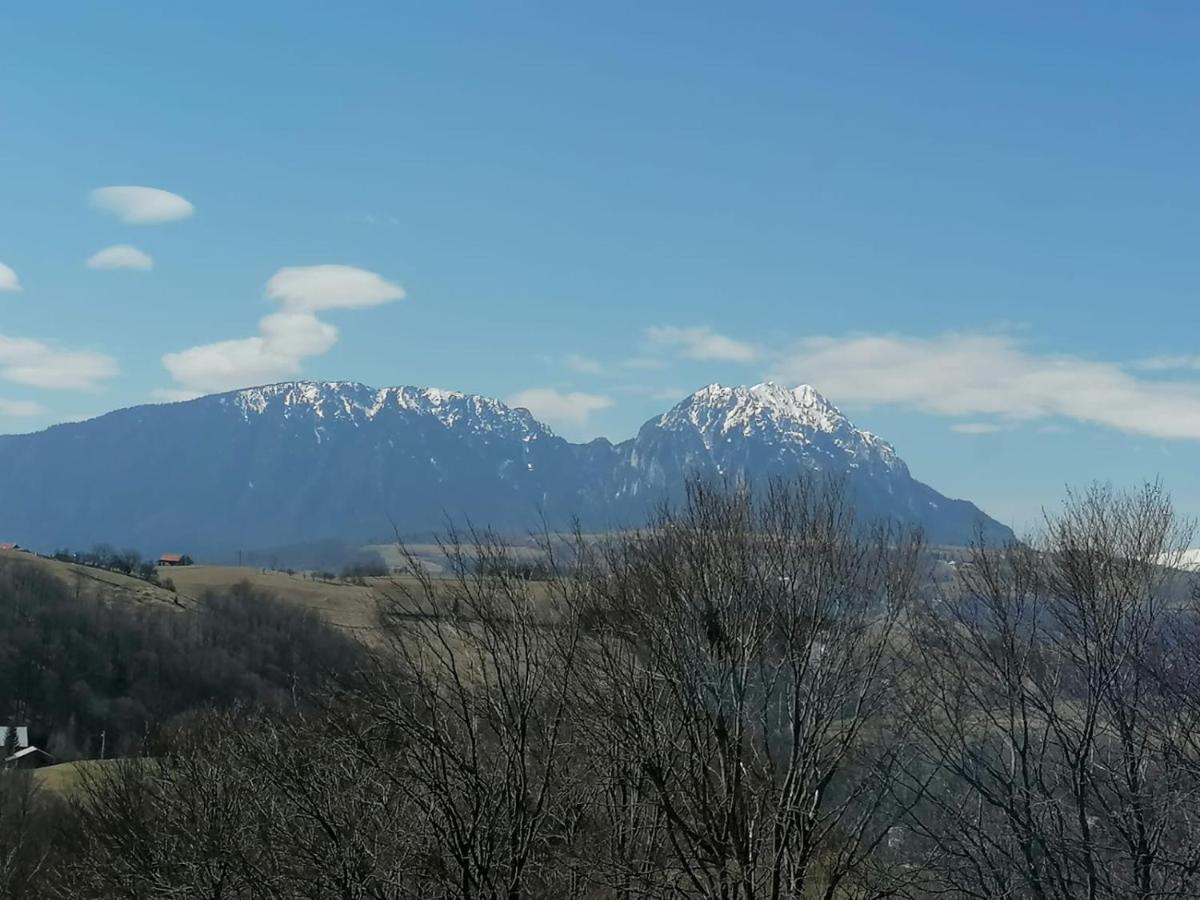 Conacul Elenei Villa Poiana Marului  Bagian luar foto