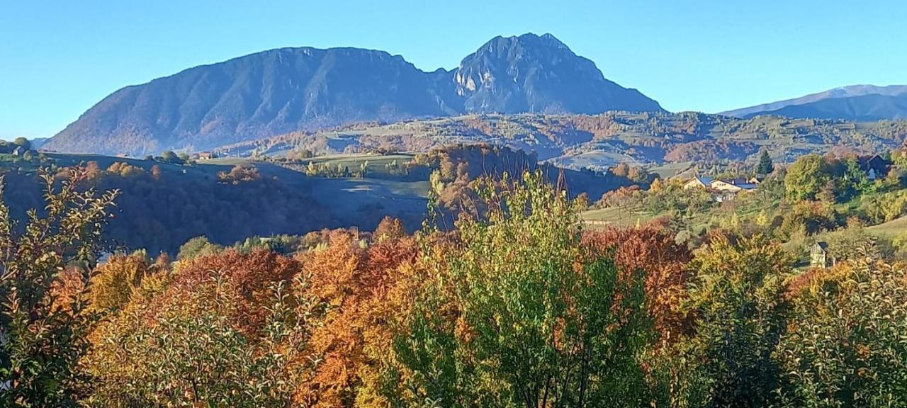 Conacul Elenei Villa Poiana Marului  Bagian luar foto