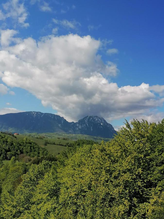 Conacul Elenei Villa Poiana Marului  Bagian luar foto