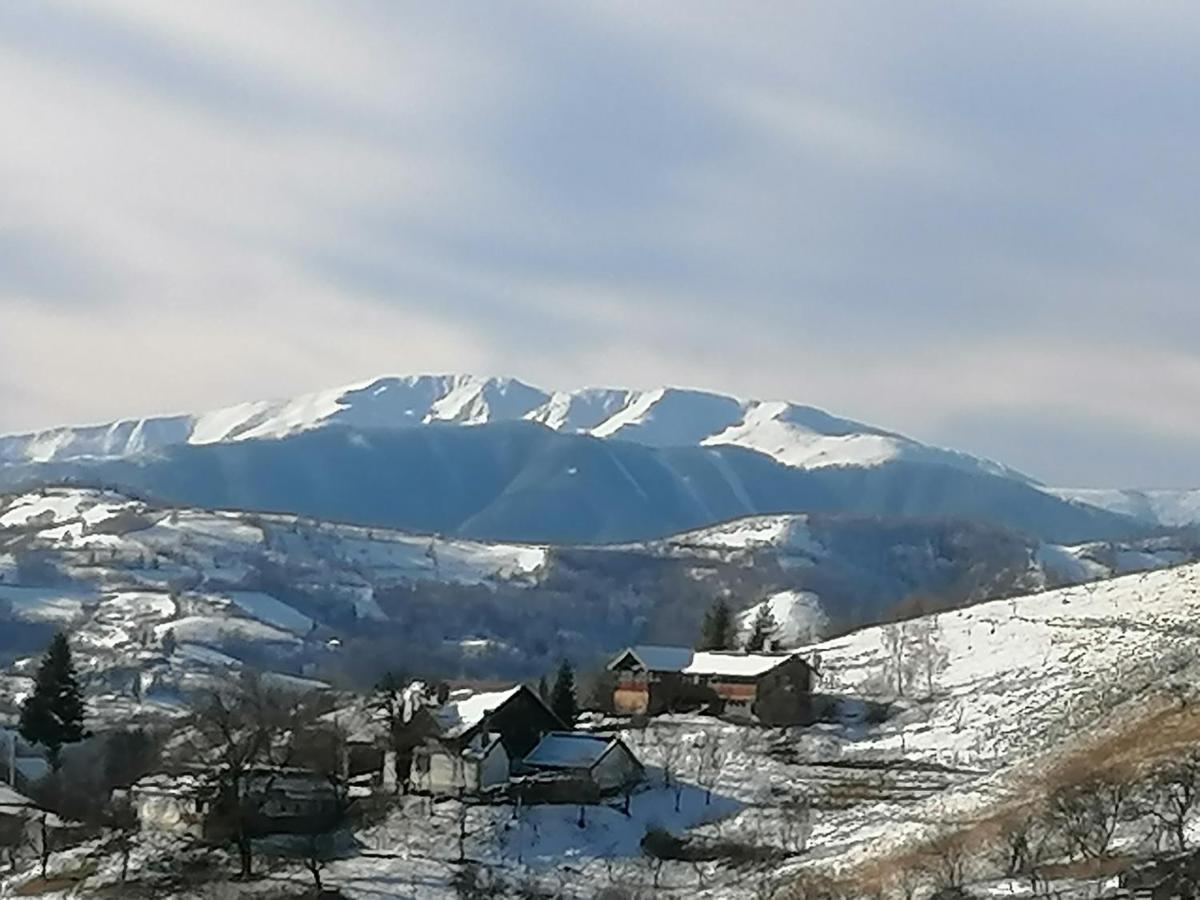 Conacul Elenei Villa Poiana Marului  Bagian luar foto