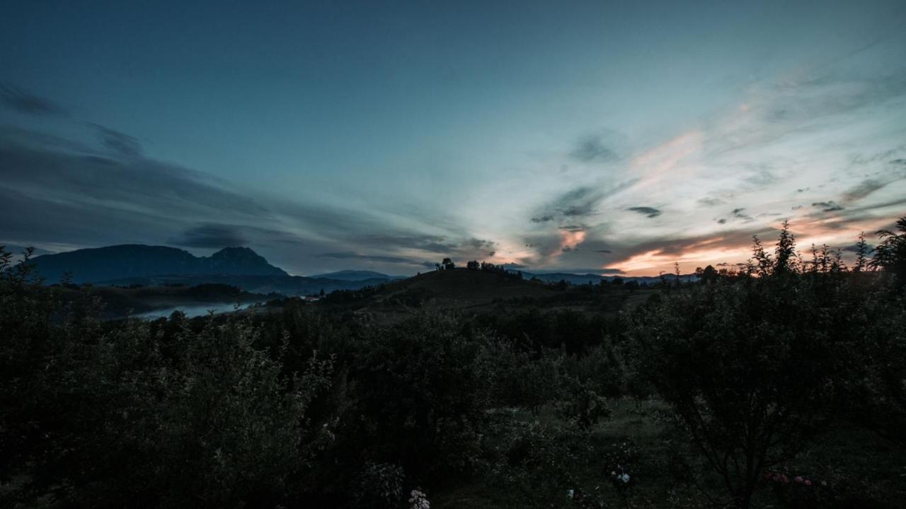 Conacul Elenei Villa Poiana Marului  Bagian luar foto