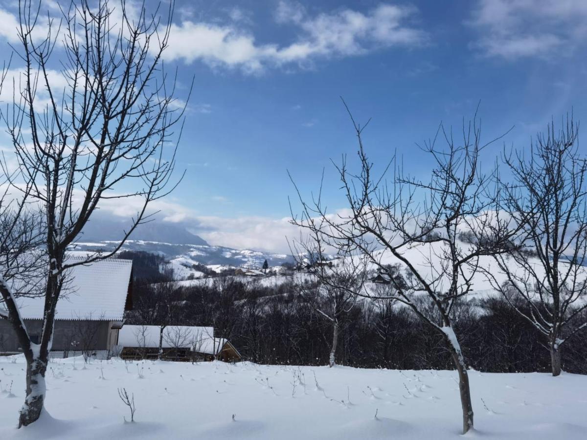 Conacul Elenei Villa Poiana Marului  Bagian luar foto