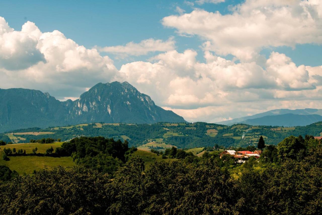 Conacul Elenei Villa Poiana Marului  Bagian luar foto