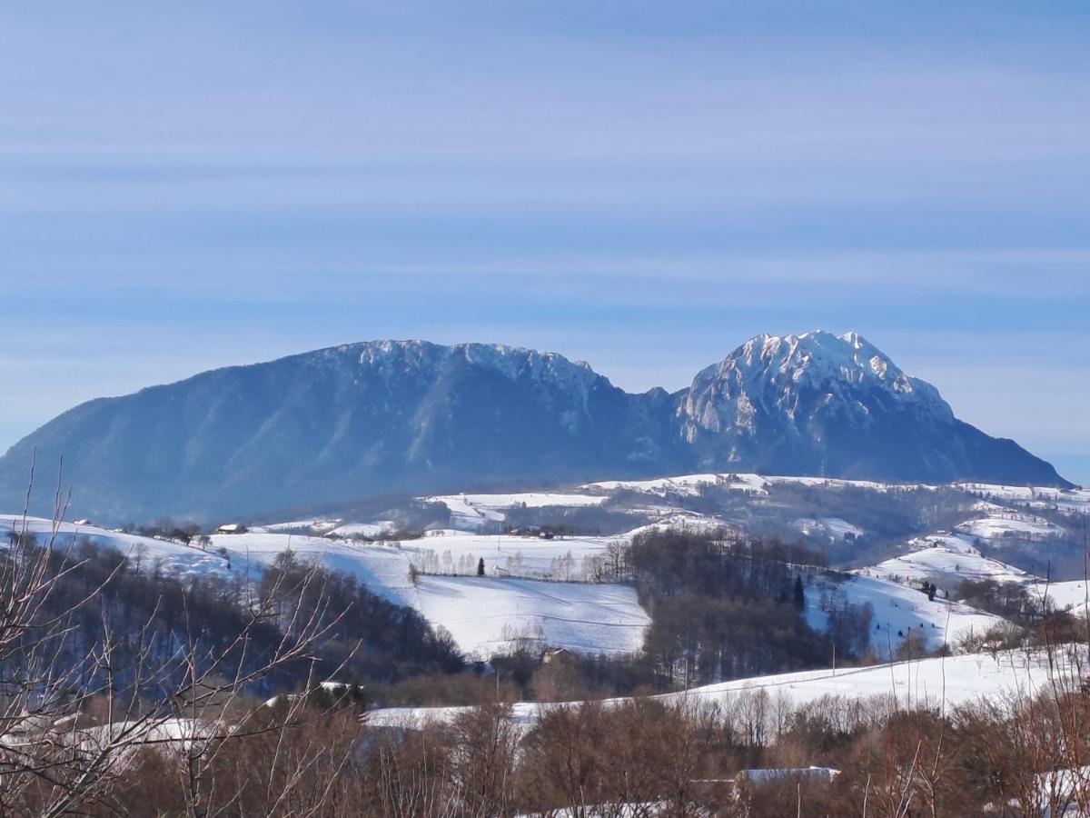 Conacul Elenei Villa Poiana Marului  Bagian luar foto